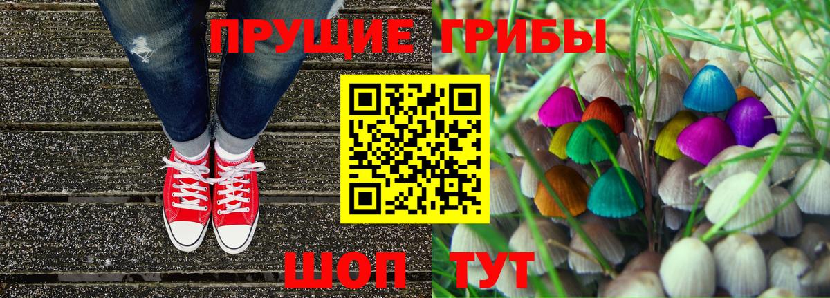 Люберцы  Галлюциногенные грибы Psilocybe  Вход с VPN 