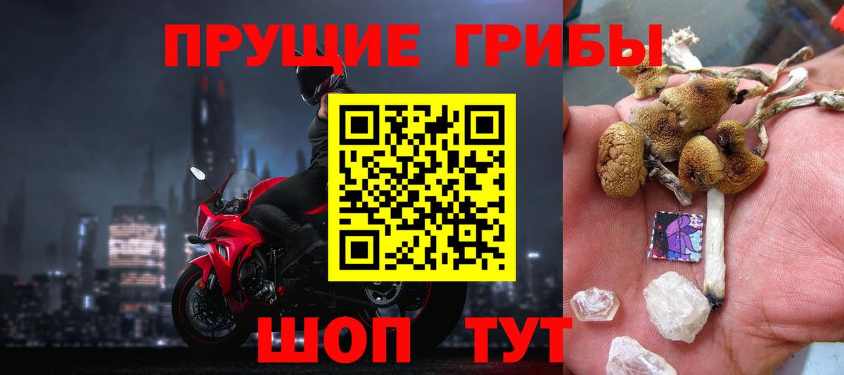 Псилоцибиновые грибы прущие грибы Люберцы